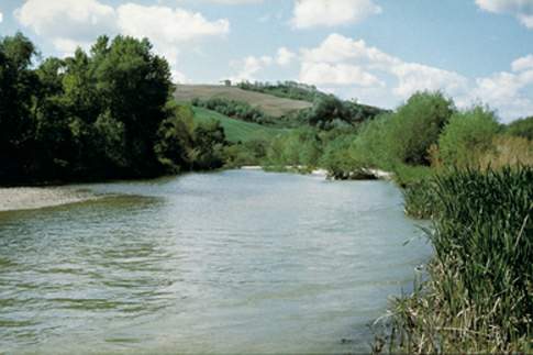 Il Fiume a Ripa Bianca